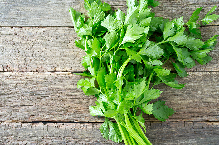 5 Air Rebusan Herbal Alami untuk Menjaga Kesehatan Ginjal