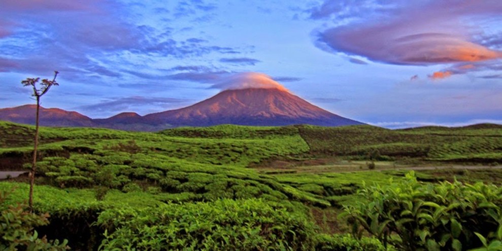 Rekomendasi 17 Tempat Wisata Alam Jambi Terbaik dan Terpopuler 2026