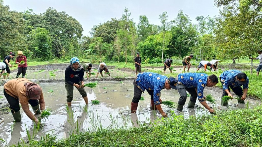 Dewan Palangka Raya Dorong Petani Lokal Berperan Aktif dalam Mewujudkan Ketahanan Pangan Daerah