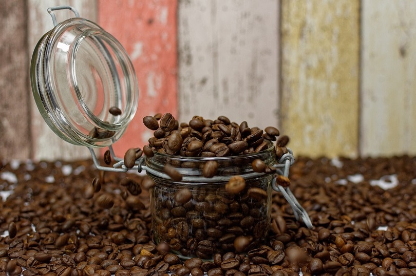 Cara Praktis Menikmati Kopi Nikmat, Simpan Biji Agar Tetap Segar