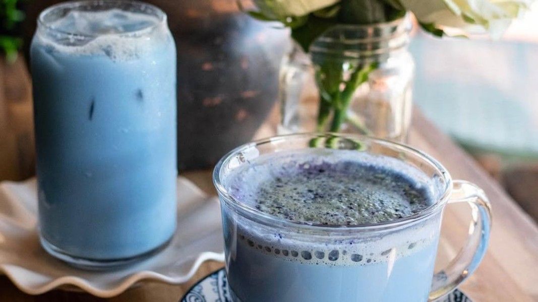 Blue Matcha Jadi Tren Minuman Estetik Gen Z yang Bebas Kafein dan Kaya Manfaat