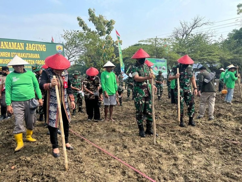 TNI Berperan Aktif Dalam Mendukung Ketahanan Pangan: Sertu Miskum SM Bantu Petani Pemupukan Jagung di Desa Akkor
