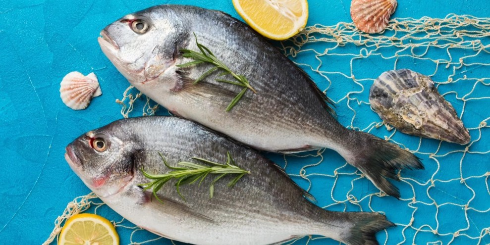 Ikan Segar Atau Ikan Beku, Mana Pilihan Terbaik?