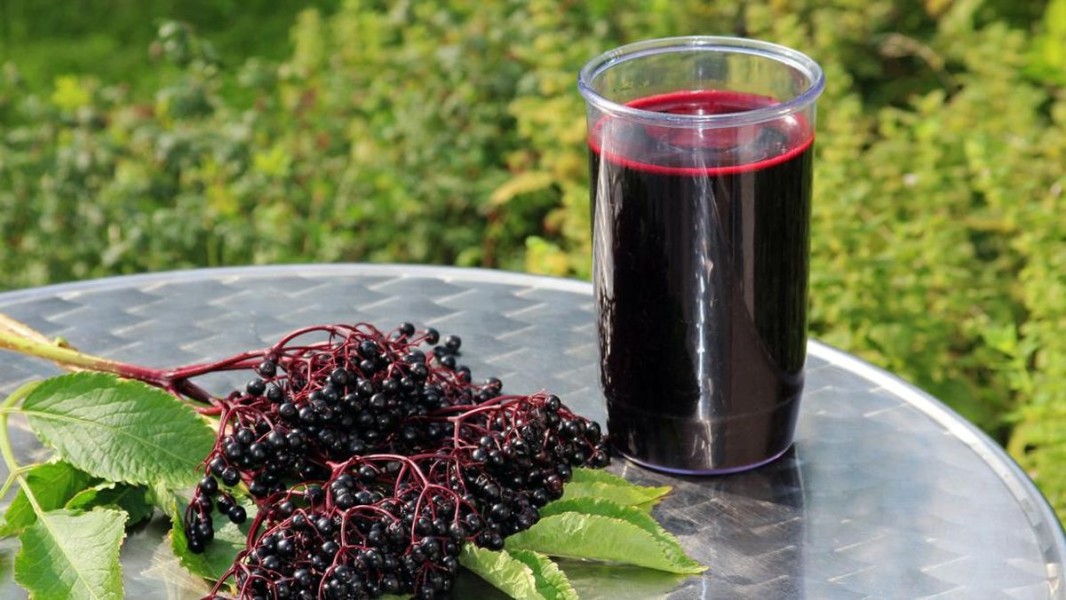 Jus Elderberry Terbukti Ilmiah untuk Diet dan Gula Darah