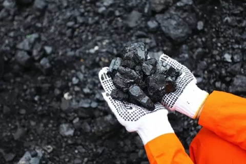 Bea Keluar Batu Bara Jadi Strategi Negara Jaga Penerimaan Fiskal