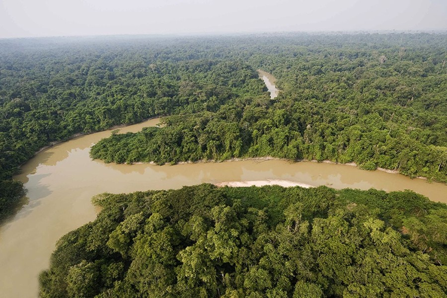 Wisata Hutan Amazon: Panduan Lengkap dan Aktivitas Seru di Paru Paru Dunia