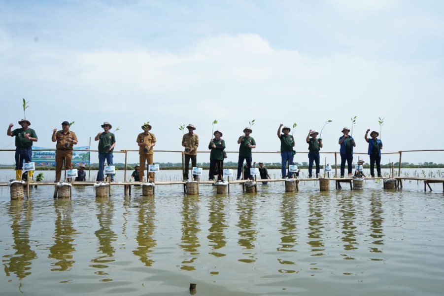ADHI Karya Perkuat Penerapan ESG melalui Program Rehabilitasi dan Konservasi Mangrove di Karawang