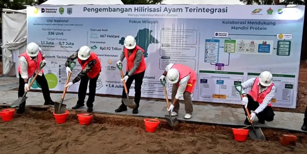 PTPN IV Siapkan Lahan Hilirisasi Ayam Perkuat Program MBG