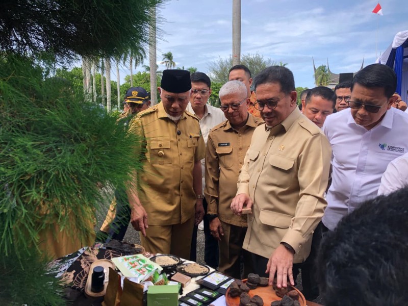 Strategi Hilirisasi Tingkatkan Nilai Ekonomi Gambir Sumbar di Pasar Global