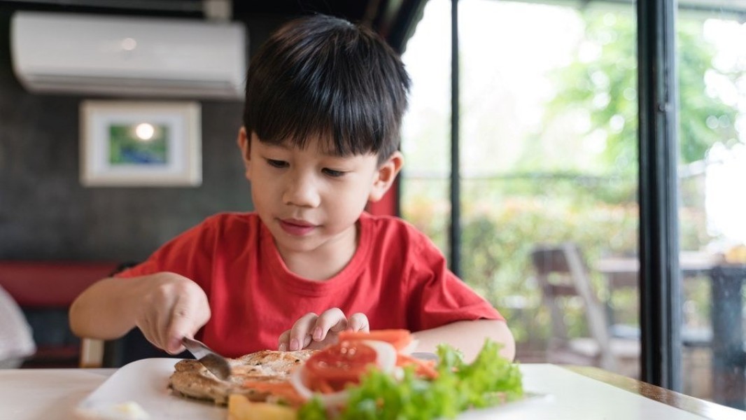 Protein Hewani Esensial untuk Pertumbuhan dan Perkembangan Anak Sehat