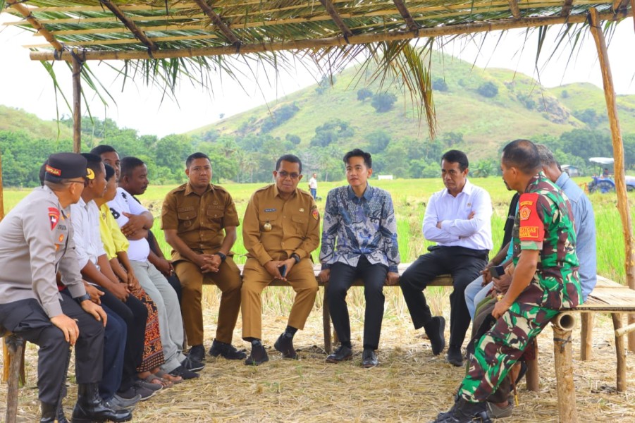 Gibran Tinjau Pertanian NTT: Pemerintah Siap All Out Majukan Petani dan Ketahanan Pangan