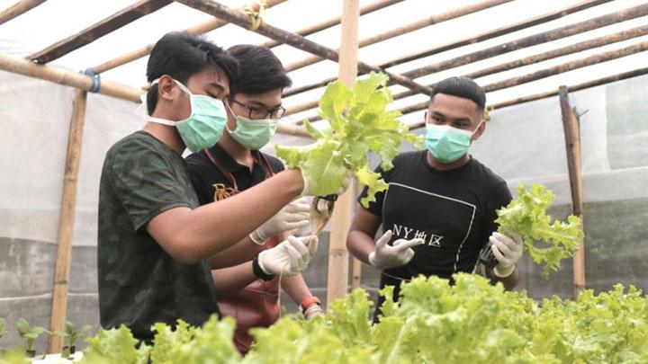 Bisnis Masa Kini: 11 Peluang Usaha Potensial dan Menguntungkan
