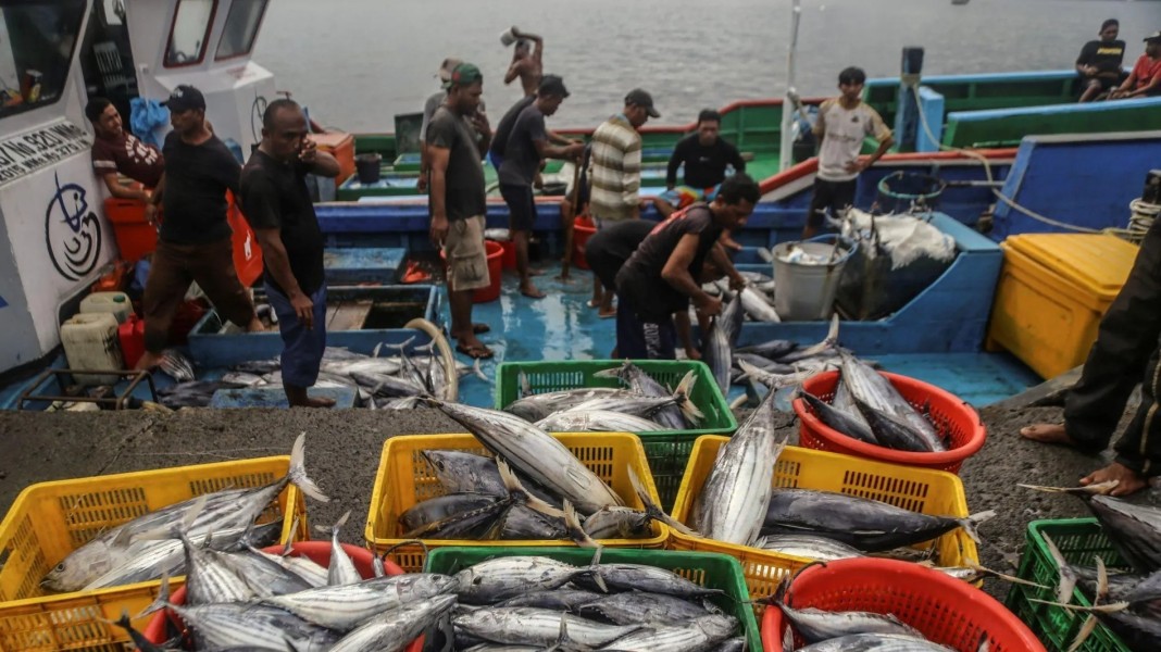 Pemerintah Perkuat Sektor Perikanan Melalui Kemudahan Perizinan Investasi Nasional