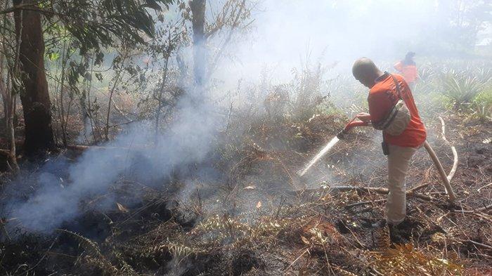 Ancaman Kebakaran Hutan Kembali Mengintai, BMKG Kalbar Deteksi 20 Titik Panas di Awal Juli 2025