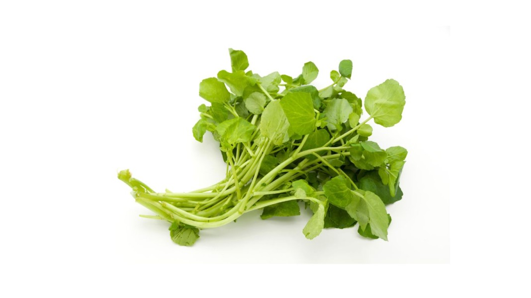 Khasiat Selada Air dalam Mencegah Risiko Kanker Payudara