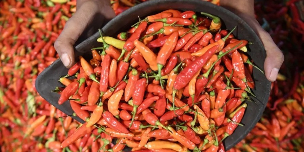 PIHPS: Catat Harga Cabai Rawit Merah Rp119.400 Per Kilogram