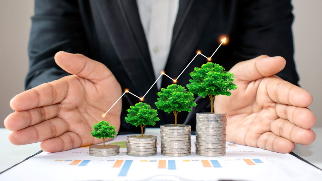 5 Langkah Cerdas Memulai Investasi Aman untuk Anak Muda