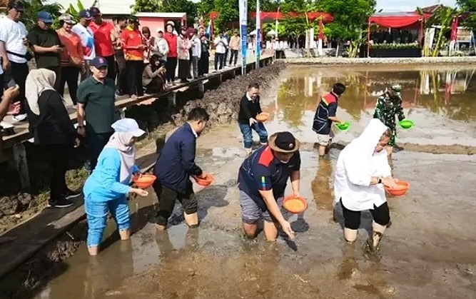 PGN Perkuat Ketahanan Pangan Nasional Melalui Inovasi Padi Biosalin di Semarang