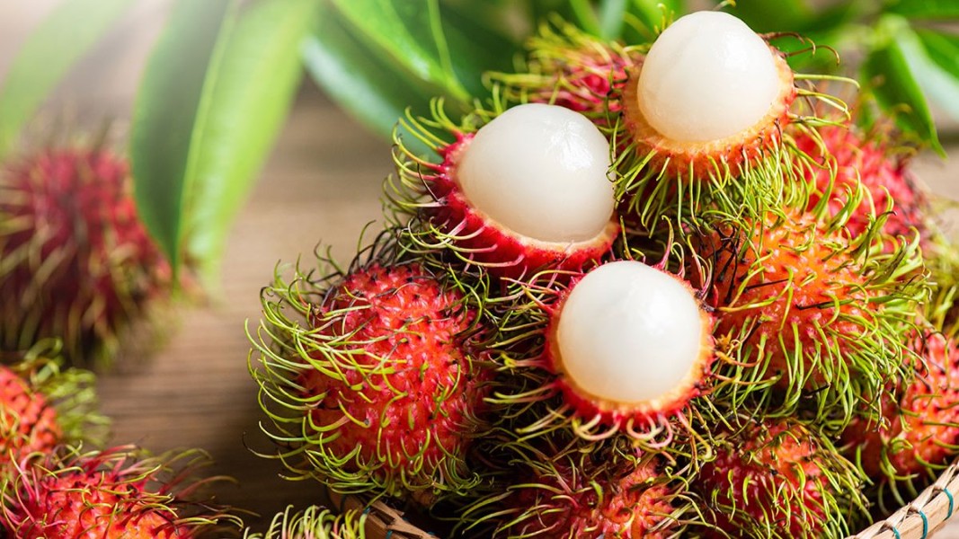 11 Manfaat Rambutan untuk Ibu Hamil yang Wajib Diketahui