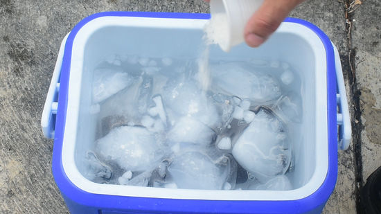 Cara Membuat Air Dingin Tanpa Kulkas Dan Es Praktis Mudah Alami Segar