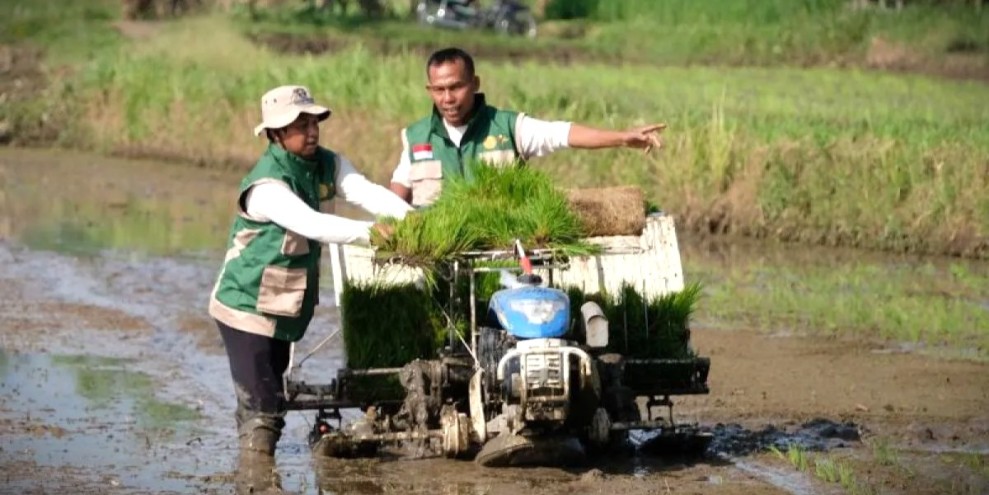 BRIN Dorong Teknologi Pertanian Berkelanjutan untuk Hadapi Perubahan Iklim