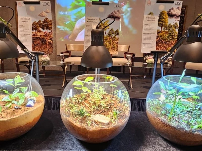 Inovasi Pertanian Regeneratif: Petani Lampung Ubah Tanah Asam Jadi Kopi Rendah Emisi