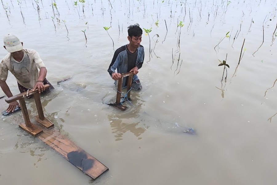 PGN Saka Kembangkan Alat Inovatif Untuk Tanam Mangrove Efektif