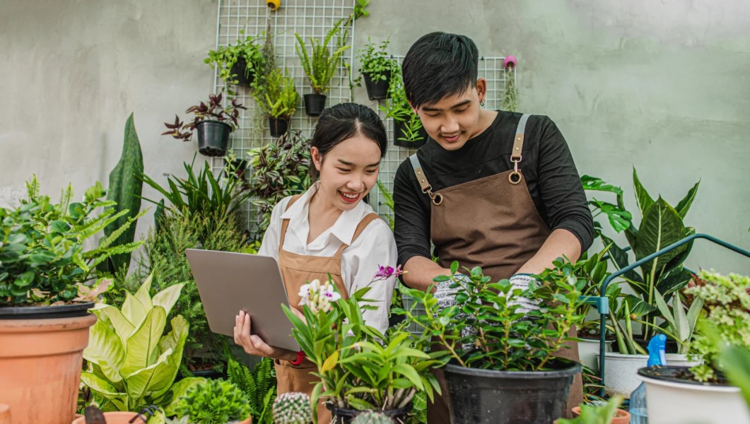 Ide Bisnis Rumahan 5 Tanaman Hias dengan Modal Ringan Untung