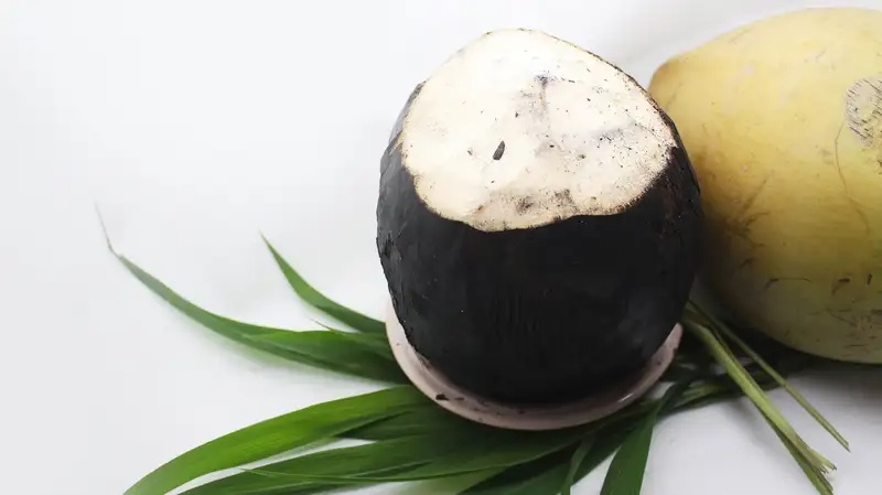 Khasiat Kesehatan Air Kelapa Bakar dan Madu