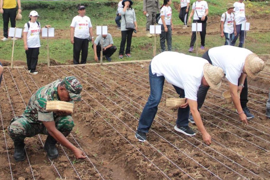 Dorong Swasembada Pangan, Petani Kuningan Andalkan Padi Gogo