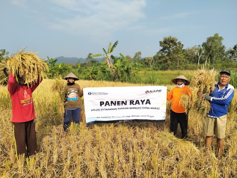 Keberhasilan Program Ketahanan Pangan Desa Petani Gunung Kijang Panen 2 Ton Keledek