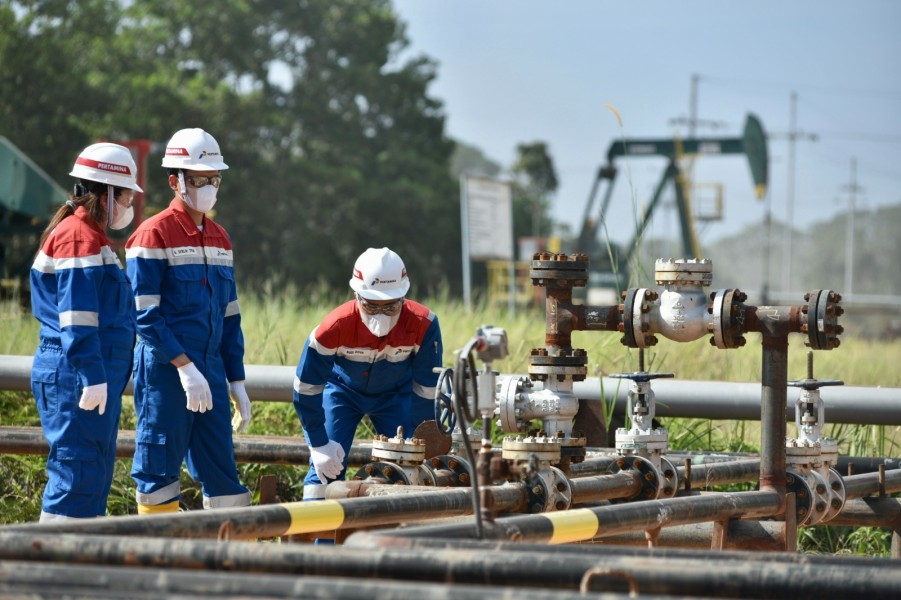 Energi Berkelanjutan Tumbuh Lewat Apresiasi untuk PHE