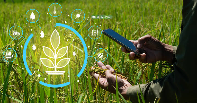 Inovasi AI UGM untuk Pertanian Cerdas dan Sensor Deteksi Keamanan Laut