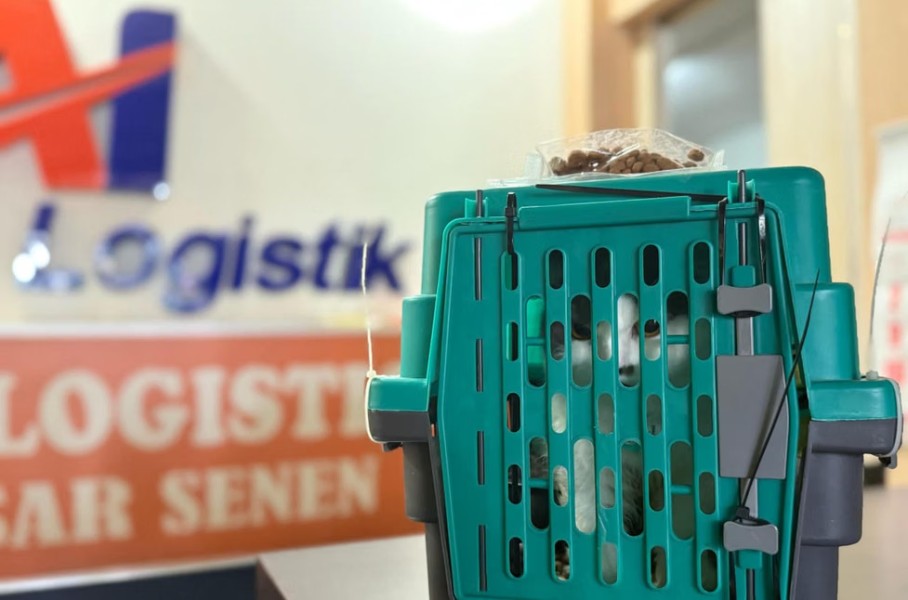 KAI Logistik Hadirkan Layanan Ramah Hewan, Perjalanan Jadi Tenang