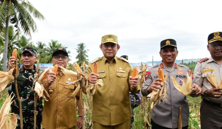 Gubernur Gorontalo Dukung Investasi Sorghum dan Energi Biomasa, Gandeng PT Sorbu Agro Energi dan PGN