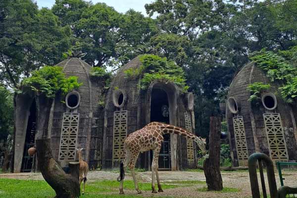 Kebun Binatang Ragunan adalah Destinasi Wisata Edukasi dan Konservasi Satwa di Jakarta