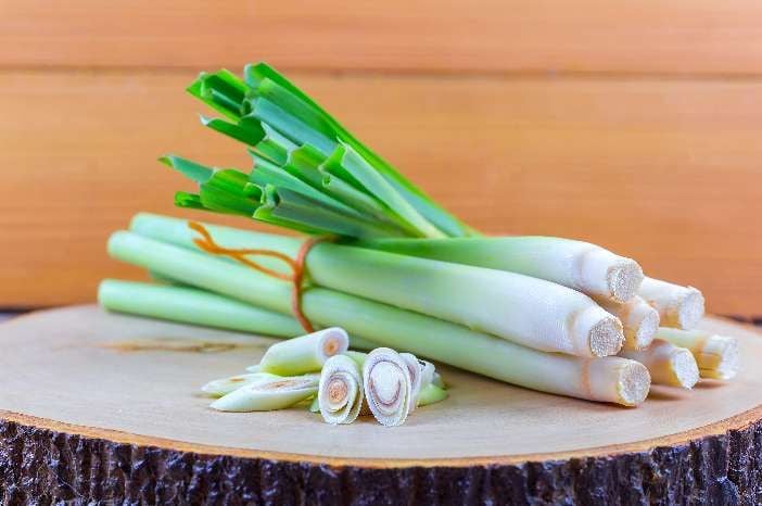 Benarkah Sereh Bisa Cegah DBD? Ini Penjelasan Medisnya