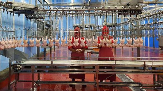 Strategi Efisiensi Dorong WMUU Raih Pendapatan Bersih Positif Tahun Ini