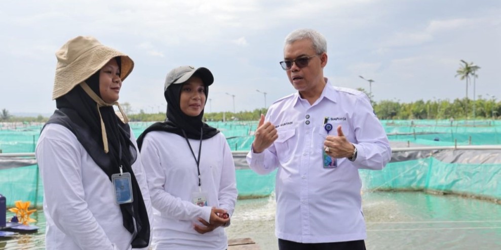 Magang Nasional: Solusi bagi Lulusan Baru Masuk Dunia Kerja