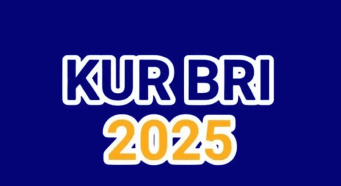 KUR BRI 2025: Syarat, Cara Pengajuan, dan Tabel Angsuran Terbaru
