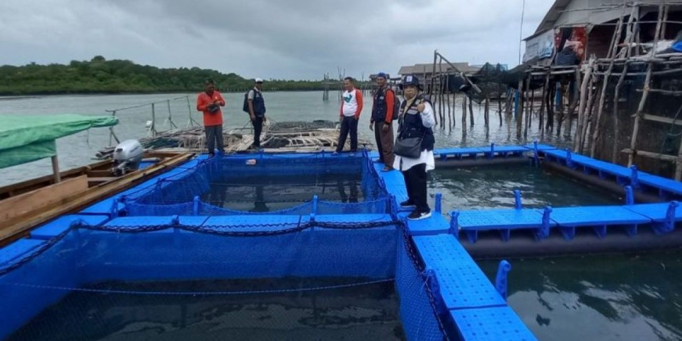 Udang Vaname Dominasi Ekspor Perikanan Batam ke Pasar Singapura