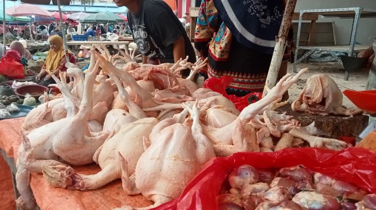 Harga Daging Ayam di Pasar Tetap Stabil Meski Ada MBG