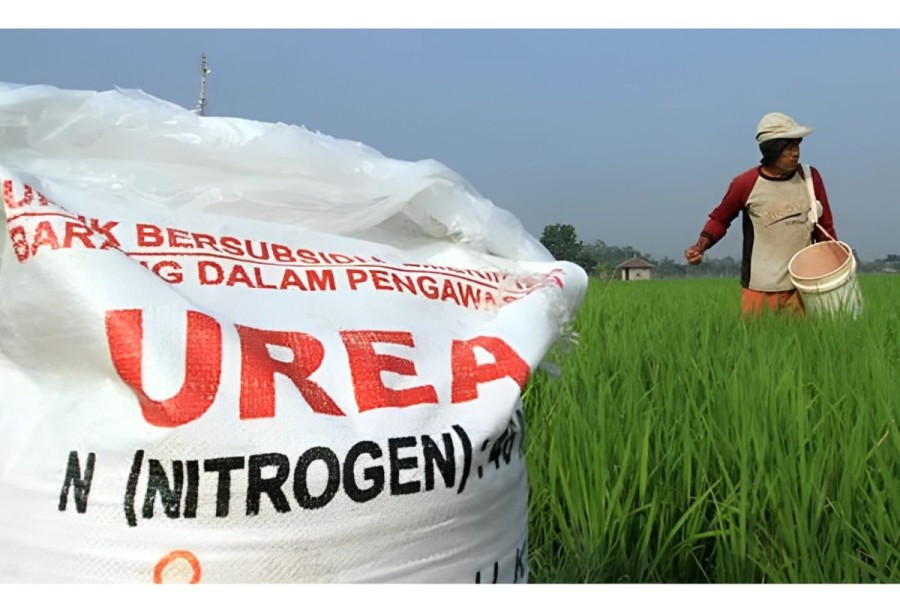 Panduan Lengkap Cara Daftar Pupuk Subsidi Online di Indonesia (2026)