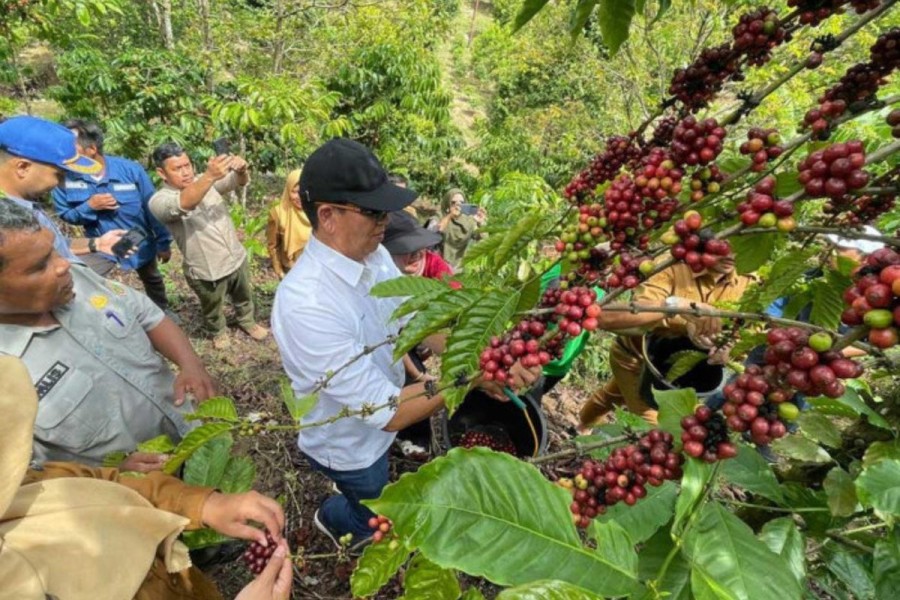 PTBA Salurkan Bibit dan Alat Olah Kopi 18 Hektare di Sawahlunto
