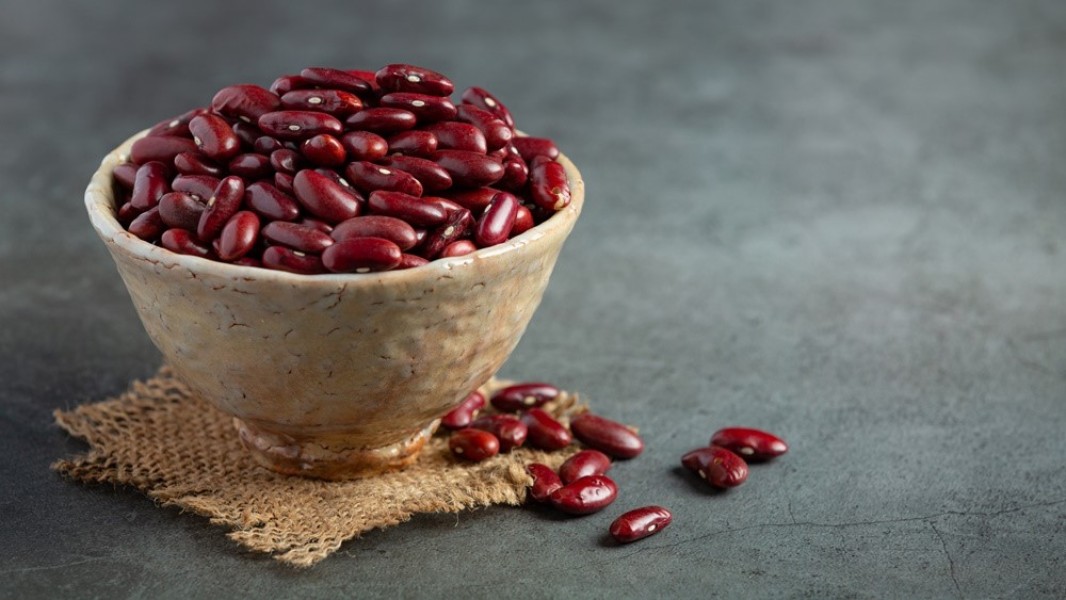 Khasiat Kacang Merah untuk Penderita Diabetes Lebih Sehat Alami