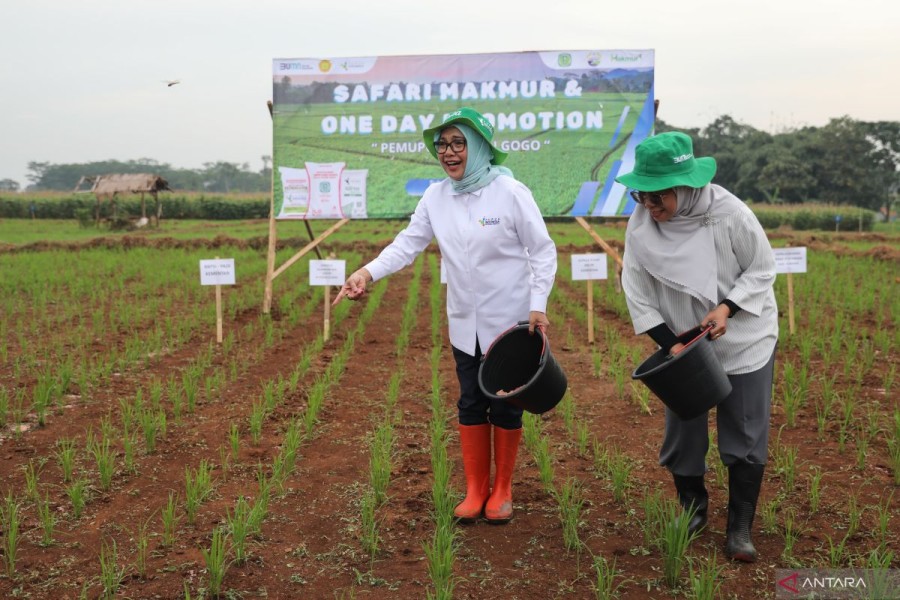 Perbaikan Akses Pupuk Bersubsidi untuk Petani: Kunci Menuju Swasembada Pangan