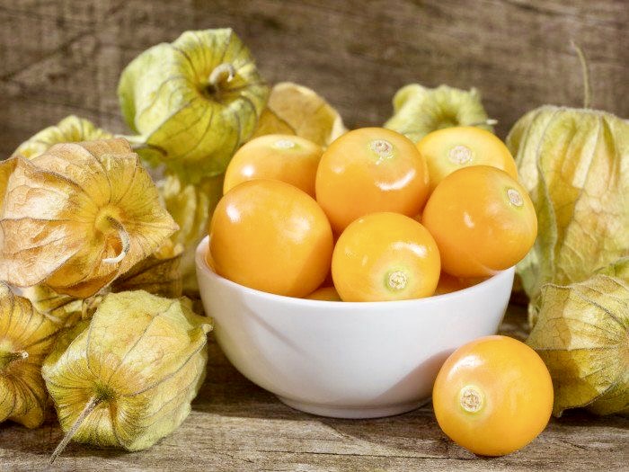 Buah Ciplukan Indonesia Jadi Rebutan Pasar Dunia Asing