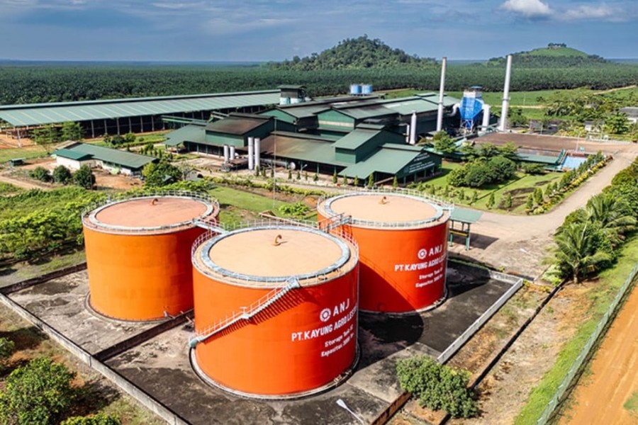 First Resources Umumkan Tender Wajib Saham Austindo Nusantara Jaya