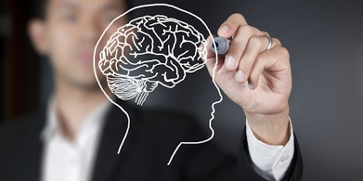 Cara Efektif Meningkatkan IQ Menurut Ilmu Pengetahuan