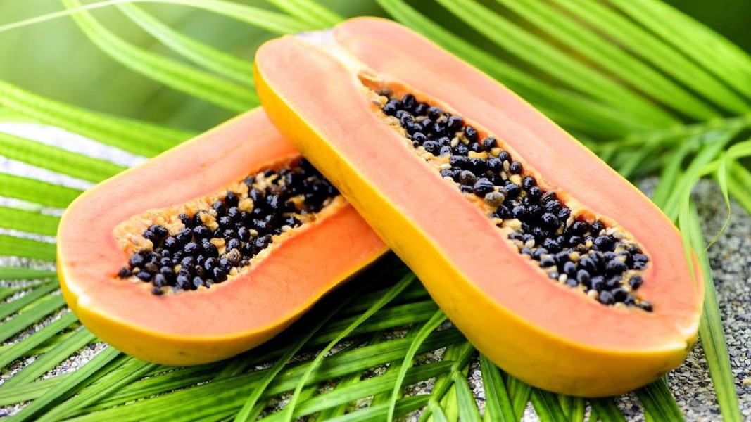 Hindari Konsumsi Pepaya Bersama Makanan Ini Demi Kesehatan